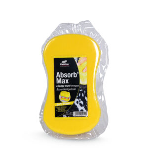 EPONGE/SPONS ABSORB MAX