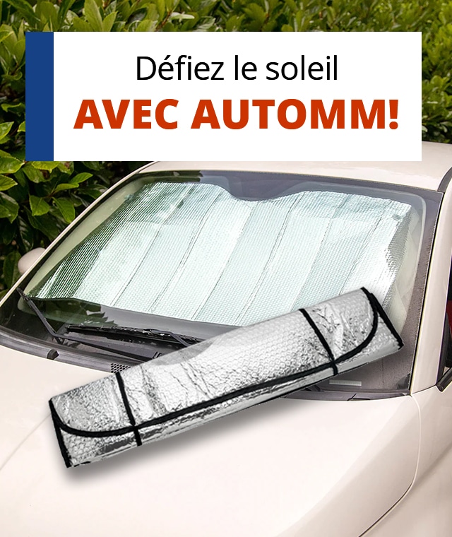 Déshumidificateur pour voiture réutilisable PINGI - Auto5