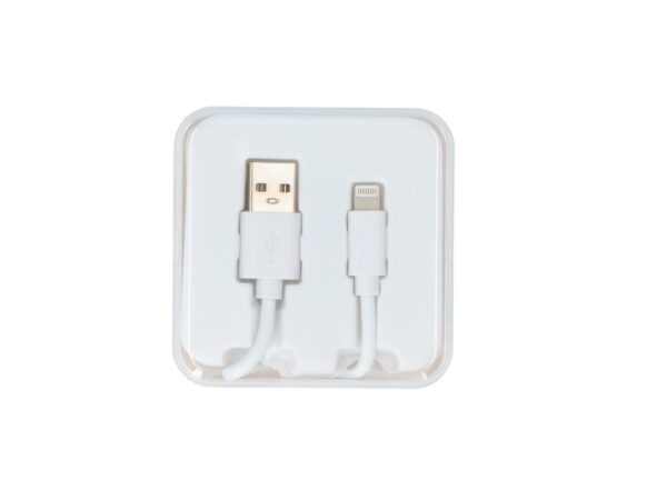 Be Connected Câble de charge USB > 8 Pin 1 mètre