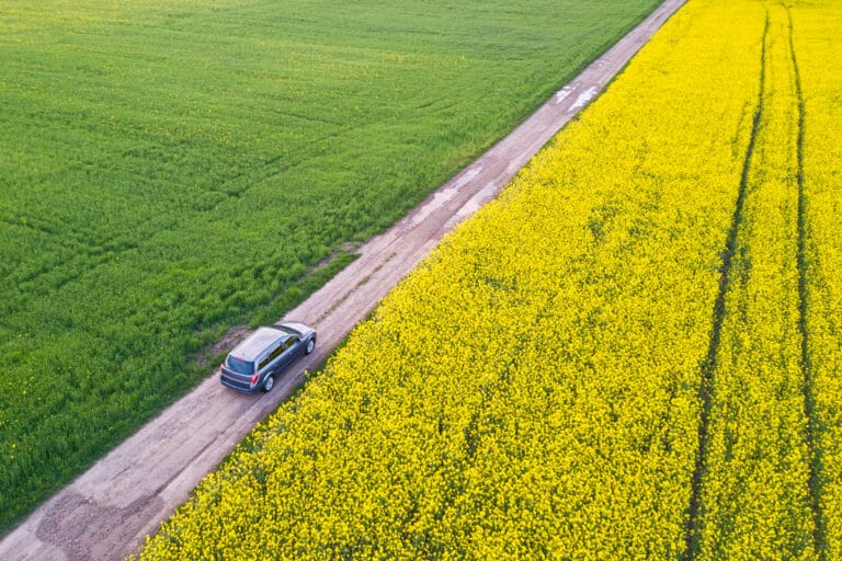 Le pollen peut-il abîmer votre voiture en Belgique ? Les erreurs à éviter au printemps